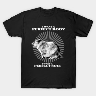 Capybara i want a perfect body i want a perfect soul Shirt, Funny Capybara Meme T-Shirt